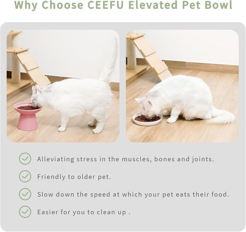 CEEFU 2 Elevated Cat Bowls Extra Wide for Food & Water – Whisker Fatigue, Ceramic Wide Shallow Food Dish, Lead & Cadmium Free, Raised Height for Cats, Pink - Image 3